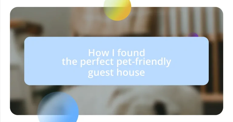 How I found the perfect pet-friendly guest house